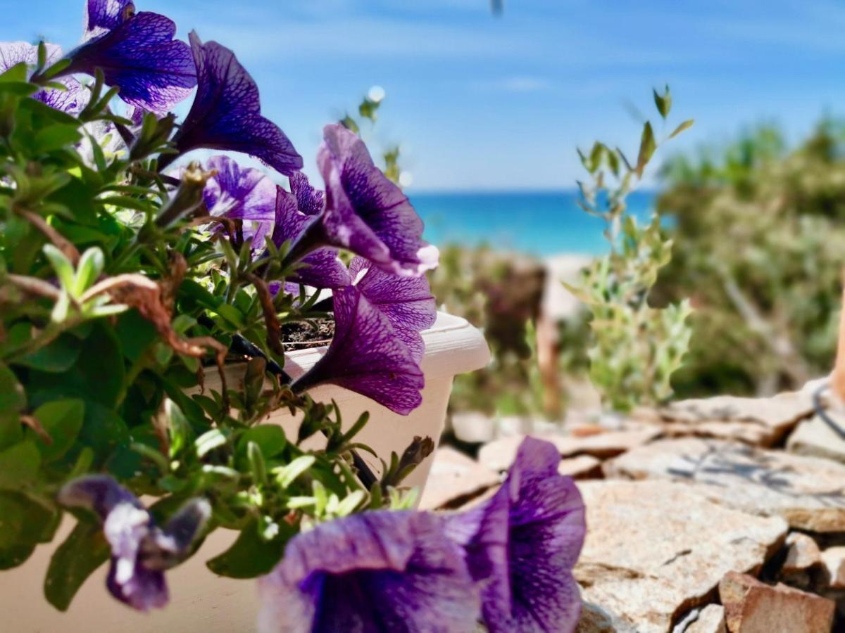 Beachfront House Geremeas Sardegna Apartman Kültér fotó
